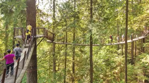 Vancouver City & Capilano Suspension Bridge
